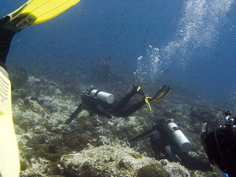 divers