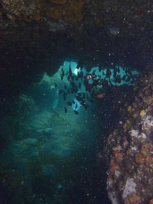 diver exiting swimthru