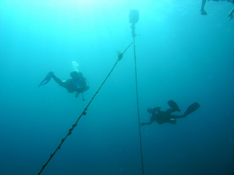divers descending