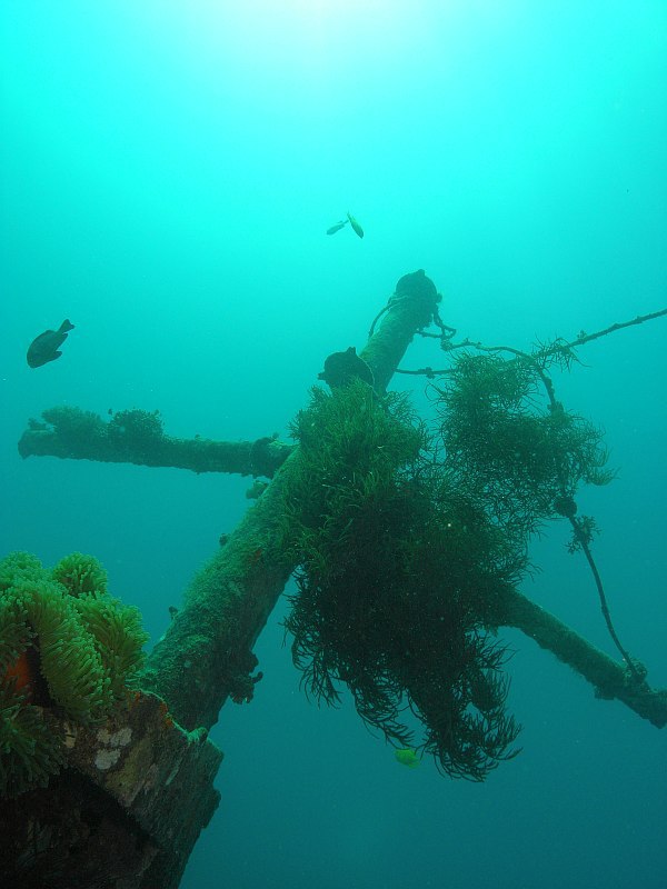 mast of wreck