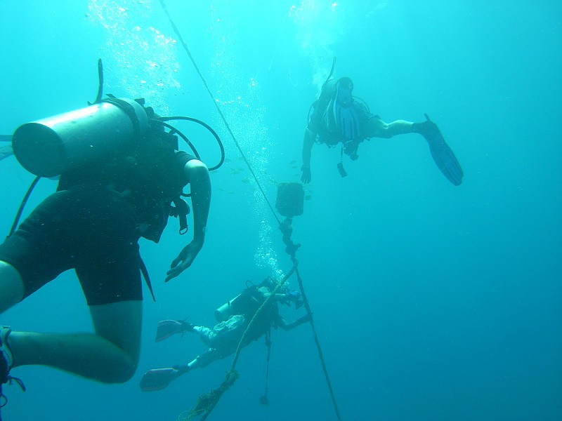 divers ascending