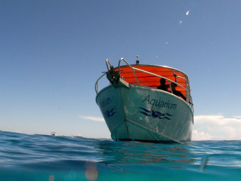 dive boat