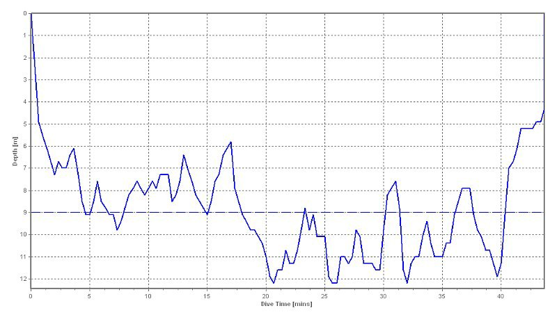 dive profile graph